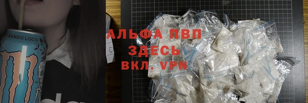ГАЛЛЮЦИНОГЕННЫЕ ГРИБЫ Верея