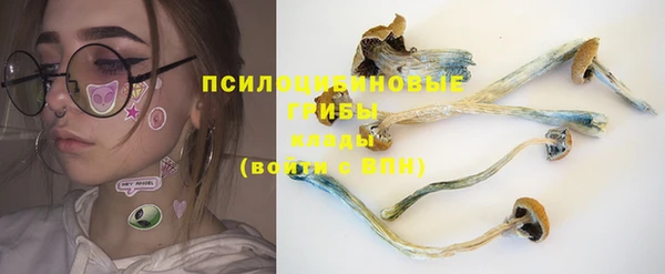 mdpv Верхний Тагил