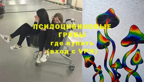 ГАЛЛЮЦИНОГЕННЫЕ ГРИБЫ Верея
