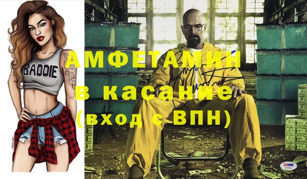 ГАЛЛЮЦИНОГЕННЫЕ ГРИБЫ Верея
