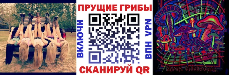 Галлюциногенные грибы мухоморы  продажа наркотиков  Выкса 
